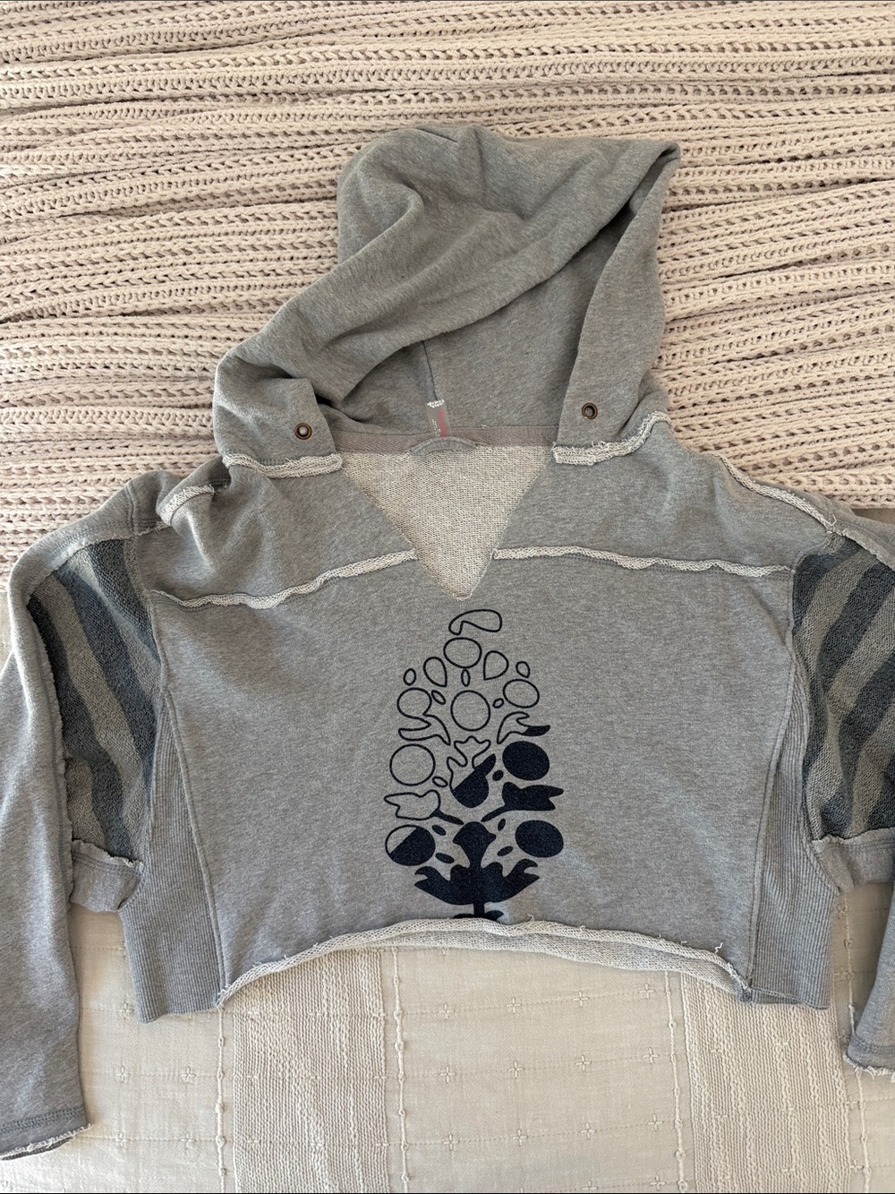 Free People Gray Cropped Hooded Sweatshirt with Graphic